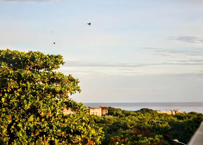 Apartment Caribique - Ocean Boutique Natural Condominium *